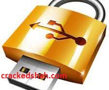 GiliSoft Private Disk 11.5 Crack